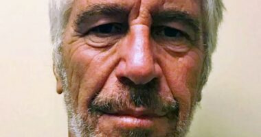 Headshot of Jeffrey Epstein.