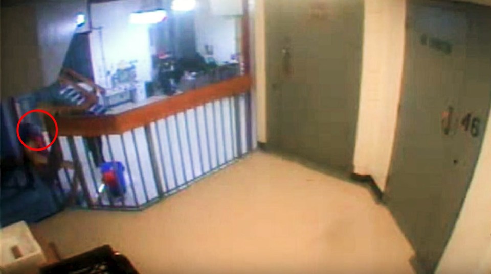 Surveillance footage of Jeffrey Epstein's cell.