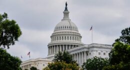 Epstein saga hangs over Congress during sprint to summer recess
