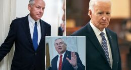 Ex-Biden 'Politburo' aide Steve Ricchetti tells Oversight panel former prez 'fully capable,' no one usurped his powers
