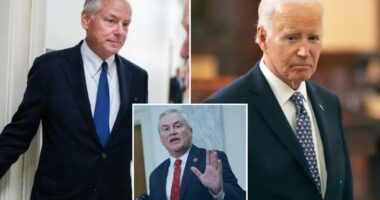 Ex-Biden 'Politburo' aide Steve Ricchetti tells Oversight panel former prez 'fully capable,' no one usurped his powers