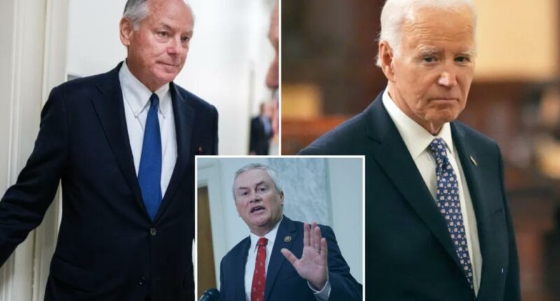 Ex-Biden 'Politburo' aide Steve Ricchetti tells Oversight panel former prez 'fully capable,' no one usurped his powers