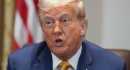 President Donald Trump speaking at a cabinet meeting.