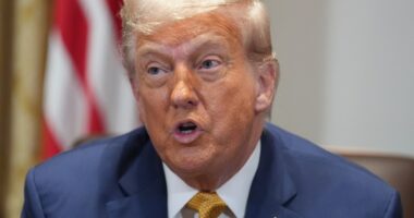 President Donald Trump speaking at a cabinet meeting.