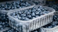 FDA issues urgent recall for blueberries over listeria concerns