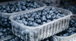 FDA issues urgent recall for blueberries over listeria concerns