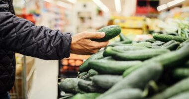 FDA issues urgent recall for cucumbers over deadly contamination