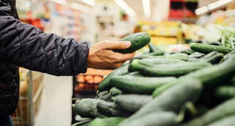 FDA issues urgent recall for cucumbers over deadly contamination