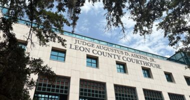 FSU shooting case: Defense yet to file for discovery