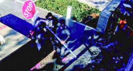 Facial recognition software leads to arrest of suspect accused of injuring ICE officer