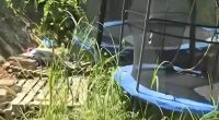 Father of kids found in nappies 'hid them to protect them from COVID'