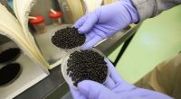 Federal government plans to air-drop sterile flies over Texas to fight flesh-eating maggots