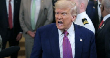 Federal judge block Trump administration from enforcing his executive order on birthrightÂ citizenship