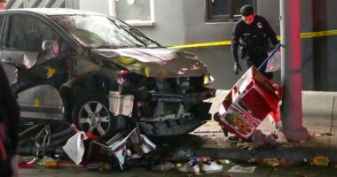 Felon who allegedly barreled car through LA nightclub crowd faces 37 attempted murder charges