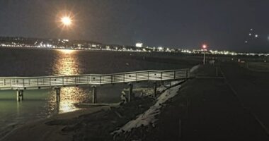 Nighttime view of a pier extending into a body of water with a city skyline in the background.