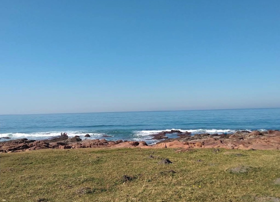 Ocean view from grassy area with rocky shore.