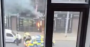 View from a window of a street scene with a small fire, police officers, and police cars.
