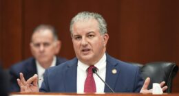 Florida Republican on ‘silly’ Epstein files controversy: 'Release whatever you got'