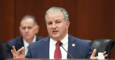 Florida Republican on ‘silly’ Epstein files controversy: 'Release whatever you got'