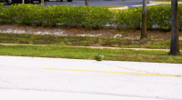 Florida bomb squad demonstrates damage fireworks can inflict using watermelon