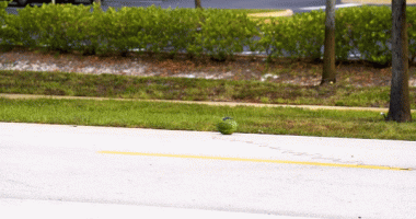 Florida bomb squad demonstrates damage fireworks can inflict using watermelon