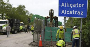 Florida lawmakers denied Alligator Alcatraz access sue DeSantis