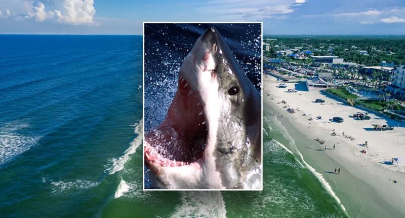 Florida shark attacks surfer, latched on ‘like a bear trap’ in world’s bite capital