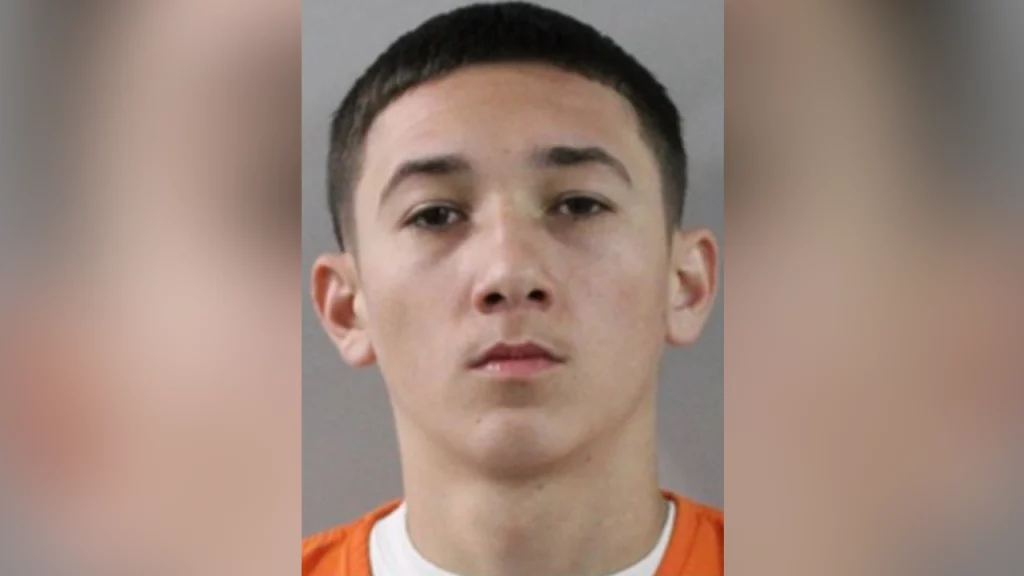 Florida teen threatens to shoot up McDonald's after $5 order is messed up: police