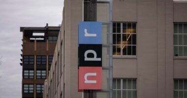 Former NPR CEO: ‘This has not been a great week for free speech’