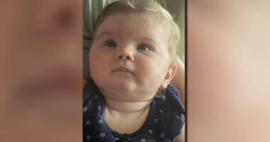 Four people found dead after abandoning baby on front lawn