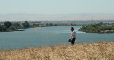 Freshwater is disappearing from the Earth at alarming rates: Study