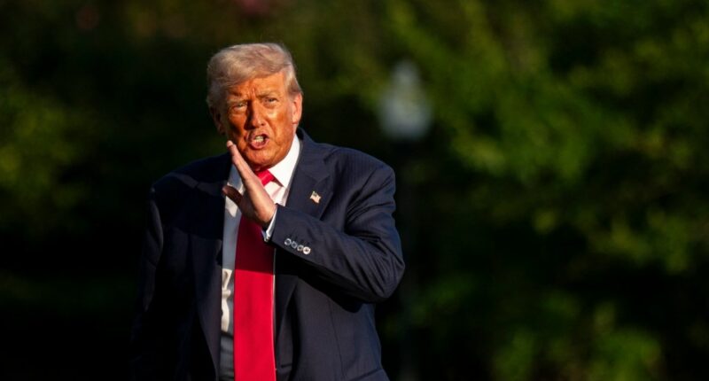 Photo of Donald Trump speaking on the White House lawn.
