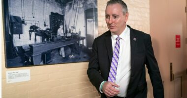 GOP lawmaker gets engaged to Fox News reporter Jacqui Heinrich