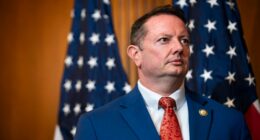 GOP rep on Trump, Epstein files: 'This is not a good moment'