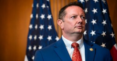 GOP rep on Trump, Epstein files: 'This is not a good moment'