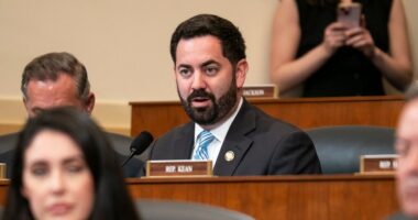 GOP rep says time to ‘move on’ from Epstein controversy