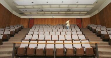 Gallup finds rising confidence in higher education, but big partisan gap