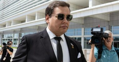 George Santos tells Tucker Carlson he's not sure he'll survive prison