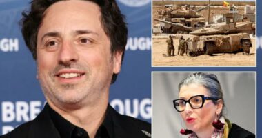 Google co-founder Sergey Brin slams 'transparently antisemitic' UN