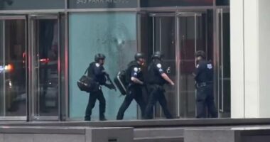 Gunman kills four, including police officer, in NYC shooting