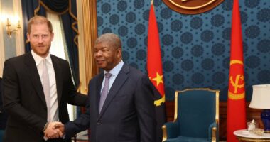 Harry beams in Angola on solo trip to walk across landmine field