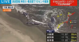 Japanese TV footage of several beached whales in Tateyama, Chiba prefecture.