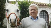 Hermès heir 'no longer holds' his stake, says fashion boss