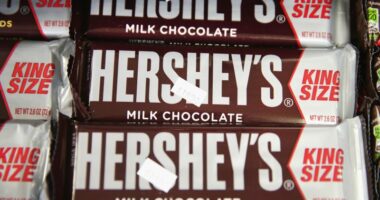 Hershey plans to raise chocolate prices: 'Reflects the reality of rising ingredient costs'
