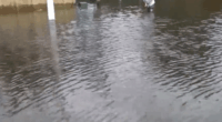 Hillsborough commissioners vote on plan for $700M in storm recovery funds