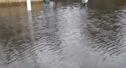 Hillsborough commissioners vote on plan for $700M in storm recovery funds