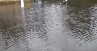 Hillsborough commissioners vote on plan for $700M in storm recovery funds
