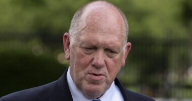 Homan: If Democrats ‘don’t like what ICE is doing, then change the law‘