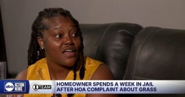 Homeowner jailed after HOA complaint about grass.