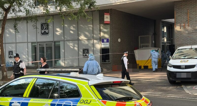 Crime scene with police and forensic officers.